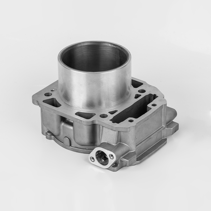 Liangzi 1000 (Φ91) Série durable de cylindre de moteur Bombardier 1000